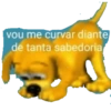 vou me curvar diante de tanta sabedoria,