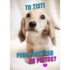 JON
TO TISTI
PODE MOSTRAR
OS PEITOS?