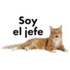 My Life is Murder Stickers 6
