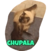CHUPALA