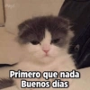 Payi
Primero que nada
Buenos días