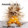 Feliz Natal 22