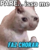 RESPOSTAS E REAÇÕES 14