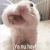 ¡Ya nu hay!