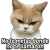 😡😤🤬Memes Enojados 😠😒😡 15