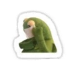 René 8