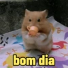 bom dia
3