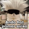Ando hot primer aviso