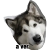 Stickers sin sentido 5