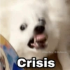 @Harley Stickers
Crisis
