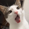 Hy