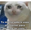 Tu mama sabe k usas
el internet para
dejarme en visto ?