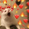 💕USA COM SEU CRUSH💕 15