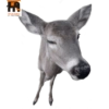 Habitantes del zoo 6