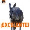 Habitantes del zoo 18