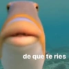 de que te ries