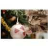 Gatos de navidad y de perros 21