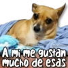 🎨 MEMES Clásicos 3.0 ✨🌌 10