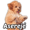 ⭐ SECUENCIAS MEMES TOP 12 ⭐ 28