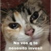 No ves q te
nesesito invesil