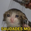 SAUDADES MO