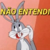 NÃO ENTENDI