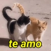 te amo