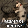 Michis Para Ti pt.2🐱❤️ 2