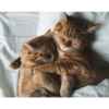 This could be us 27
