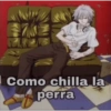 ZAK Como chilla la perra