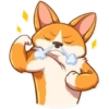 Cute dog 21
