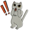 Bleu the British Shorthair 14