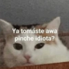 Ya tomáste awa
pinche idiota?