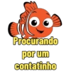 Animais com duplo sentido 10