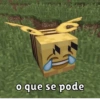 Bem vindo ao minecraft 15