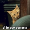 Payi
Vi lo que borraste
