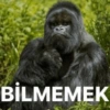 BİLMEMEK