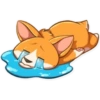 Cute dog 17