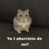 @11:11
Ya t aburriste de
mí?