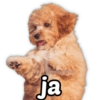 ⭐ SECUENCIAS MEMES TOP 12 ⭐ 29
