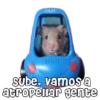 O&M
sube. vamos a
atropellar gente