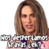 MEMES Random 2.5 🥳🤠 17