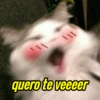 PARA OS APAIXONADOS(AS) 9