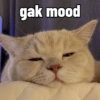 gak mood