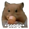 Chismesito para todos 14