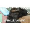 MAHALLE YANMAK