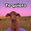 Memes pa' hablar XD 2 5