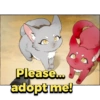 Please... adopt me!