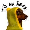 Memes Variados (Pack 2) 6