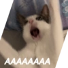 AAAAAAAA